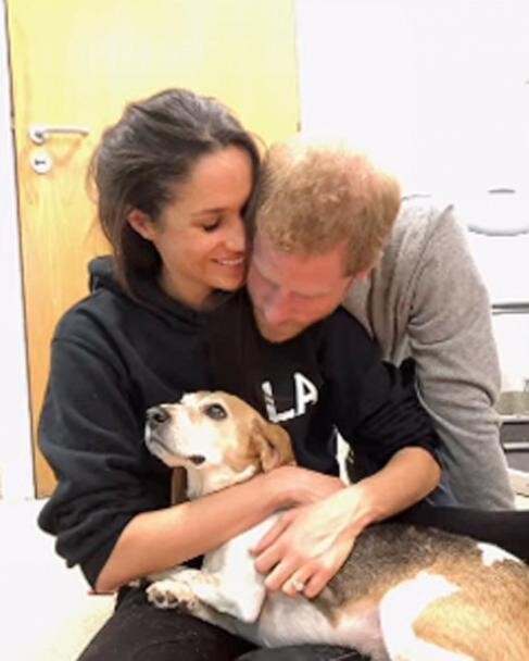 meghan-markle-dog-ht-lv-250107_1736296818479_hpMain_4x5_608_aadcd.jpg