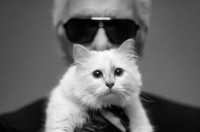 Τι απέγινε η Choupette Lagerfeld; (Η γάτα που κληρονόμησε τον Karl Lagerfeld)