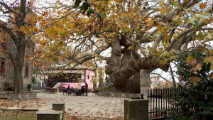 Όπου υπάρχει Ελλάδα: Το χειμωνιάτικο και γραφικό Πήλιο γίνεται το στούντιο της εκπομπής