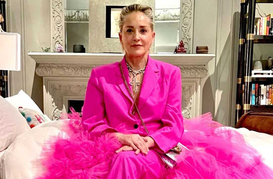 Sharon Stone: «Από το Βασικό Ένστικτο έχασα την επιμέλεια του παιδιού μου. Μου ράγισε την καρδιά» 